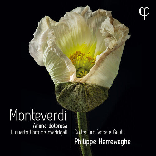 Monteverdi/ Collegium Vocale Gent/ Herreweghe - Il Quarto Libro de