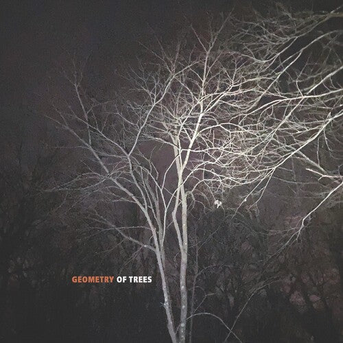 Tomeka Reid - Geometry Of Trees