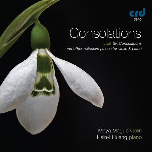 Consolations/ Various - Consolations