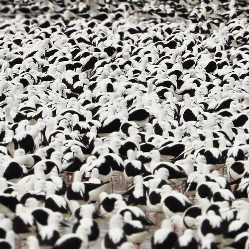 Stella Donnelly - Flood - Opaque Red