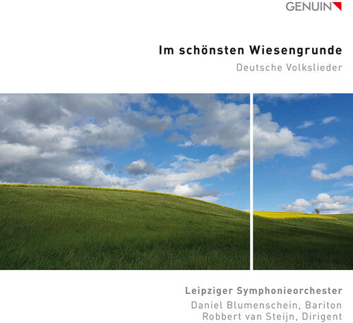 Mendelssohn/ Leipziger Symphonieorchester - Im Schonsten Wiesengrunde