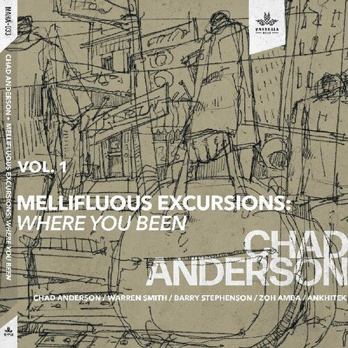 Chad Anderson - Mellifluous Excursions 1- Where You Been