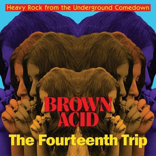 Brown Acid - Fourteenth Trip/ Various Artists - Brown Acid - Fourteenth Trip (various Artists)