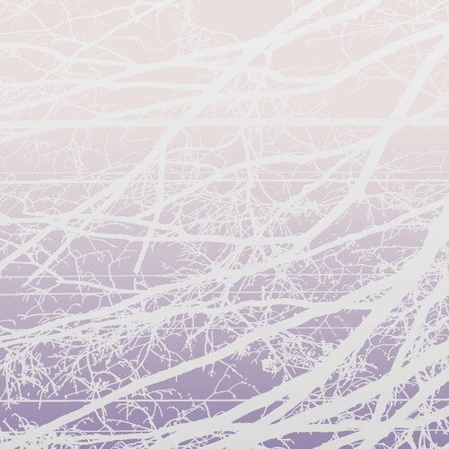 Lea Bertucci - Metal Aether / Resonant Field