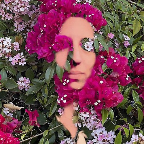 Daisy Press - You Are The Flower Music From Hildegard Von Bingen