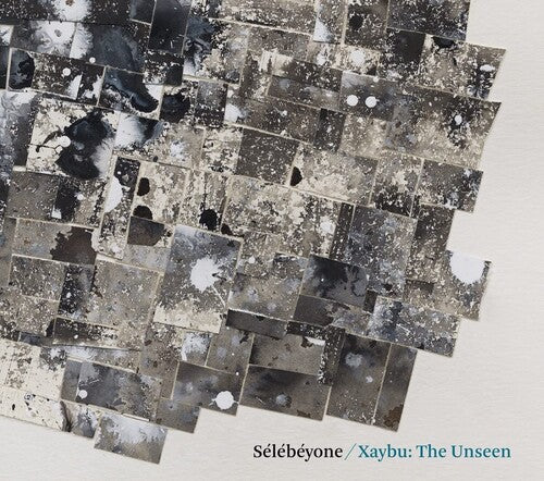Steve Lehman - Xaybu: The Unsee