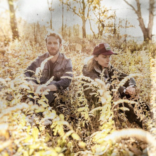 Dead Horses - Birds