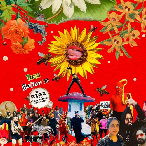 Zeta - Todo Bailarlo