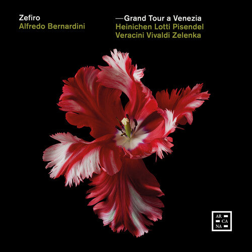 Zefiro - Grand Tour a Venezia
