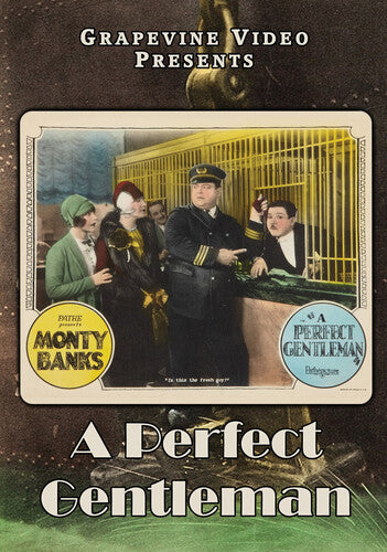 A Perfect Gentleman