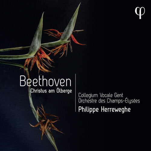 Collegium Vocale Gent/ Orch Des Champs-Elysees - Beethoven: Christus Am Olberge