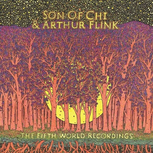 Son of Chi/ Arthur Flink - The Fifth World Recordings