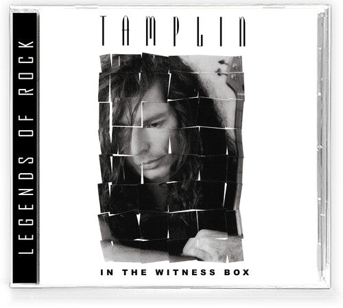 Ken Tamplin - In The Witness Box