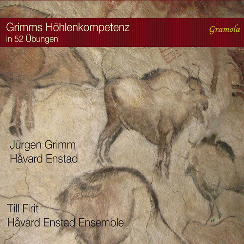 Havard Enstad Ensemble - Enstad Grimms Hohlenkompetenz in 52 Ubungen