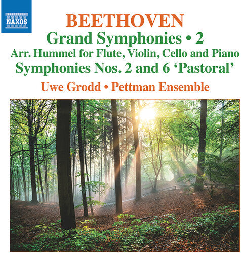 Beethoven/ Grodd/ Pettman Ensemble - Grand Symphonies Vol 2 - Nos 2 & 6