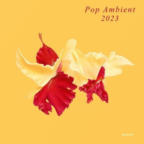 Pop Ambient 2023/ Various - Pop Ambient 2023