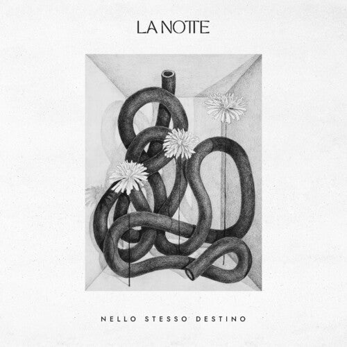 La Notte - Nello Stesso Destino