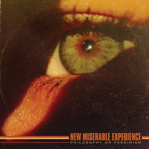 New Miserable Experience - PHILOSOPHY ON PESSIMISM