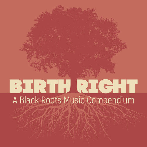 Various Artists - Birthright: A Black Roots Music Compendium (Various Artists)