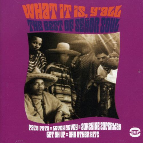 Soul - What It Is Y'all: The Best of
