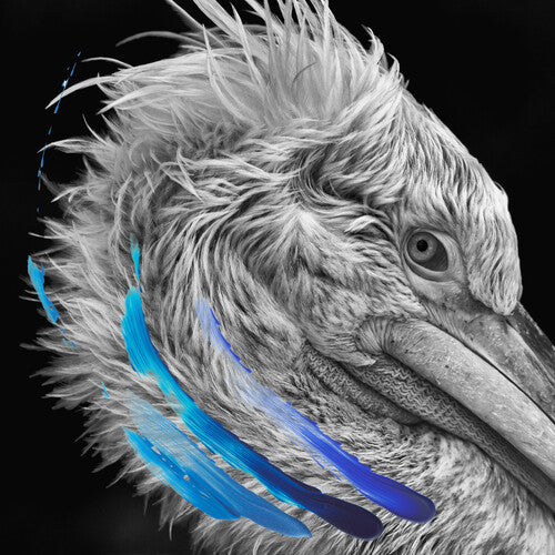 Lies - Lies - Metallic Silver