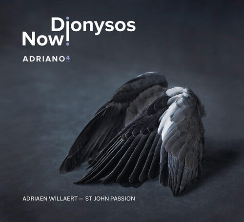 Willaert/ Dionysos Now - Adriano 4