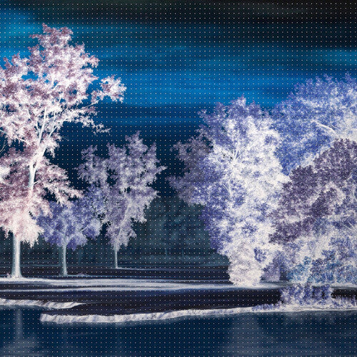 Ingrid Laubrock - Last Quiet Place