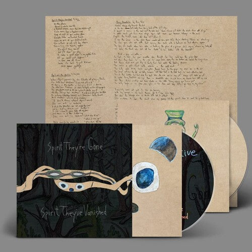 Animal Collective - Spirit They're Gone Spirit They've Vanished