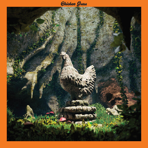 Chicken Grass - Chicken Grass