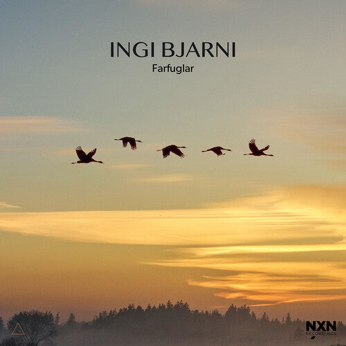 Ingi Bjarni Skulason - Farfuglar
