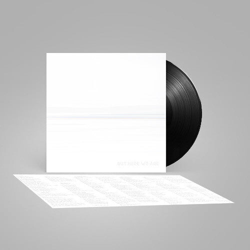 Foo Fighters - But Here We Are (Black Vinyl)