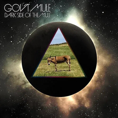 Gov't Mule - Dark Side Of The Mule