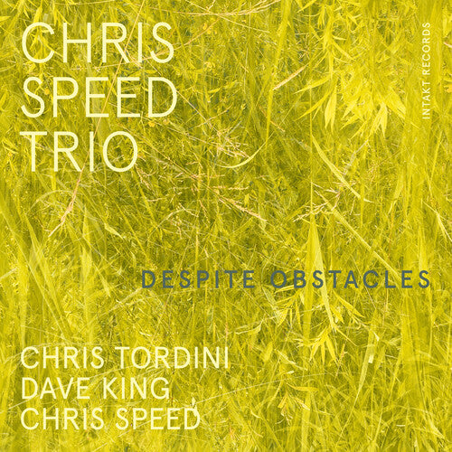 Chris Speed - Despite Obstacles