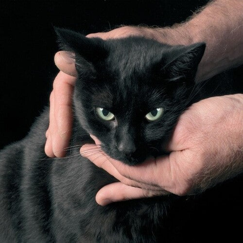 Peter Kernel - White Death, Black Heart