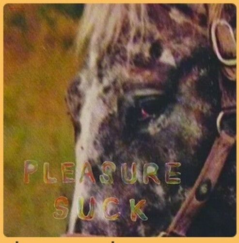 Spirit of the Beehive - Pleasure Suck