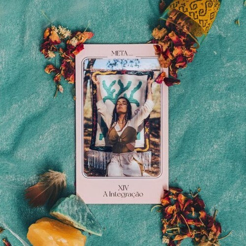 Meta_ - Xiv- A Integracao