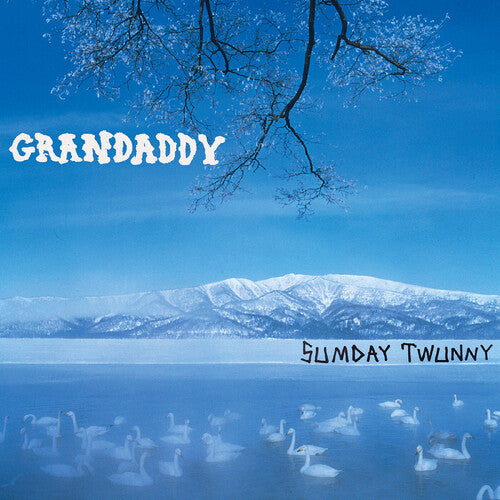 Grandaddy - Sumday: Twunny