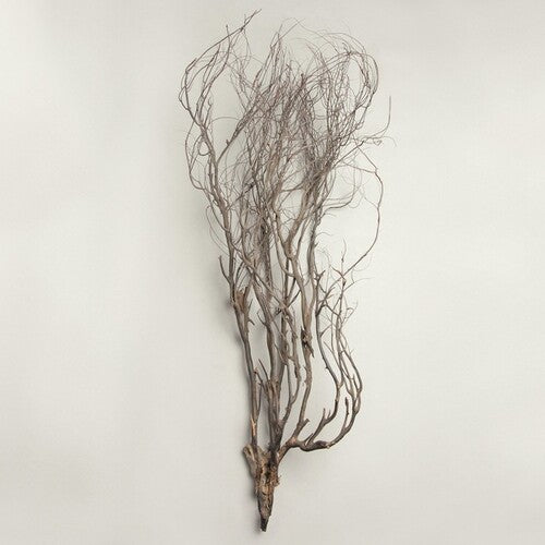 Mary Leach Jane - Woodwind Multiples