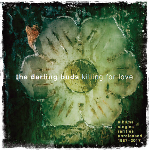 Darling Buds - Killing For Love - Albums, Singles, Rarities, Unreleased 1987-2017 5CD Clamshell Box