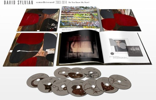 David Sylvian - Samadhisound 2003-2014 Do You Know Me Now?