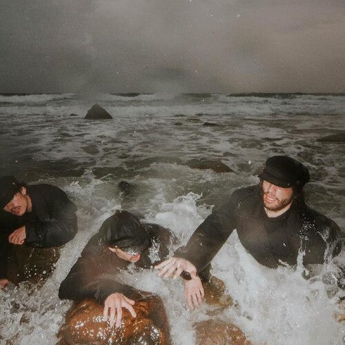 The Pons - The Liquid Self