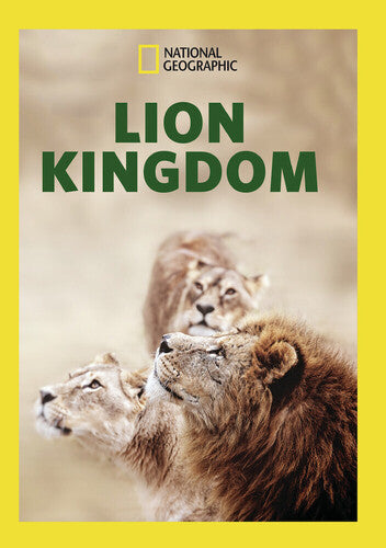 Lion Kingdom