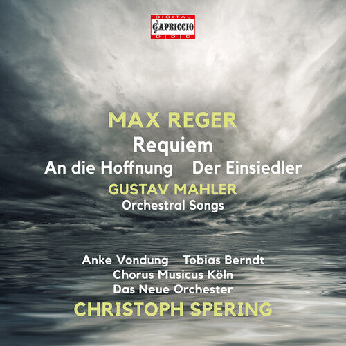 Mahler/ Reger/ Das Neue Orchester - Orchestral Songs