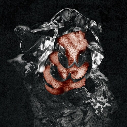 My Lonely Sea - Gloom