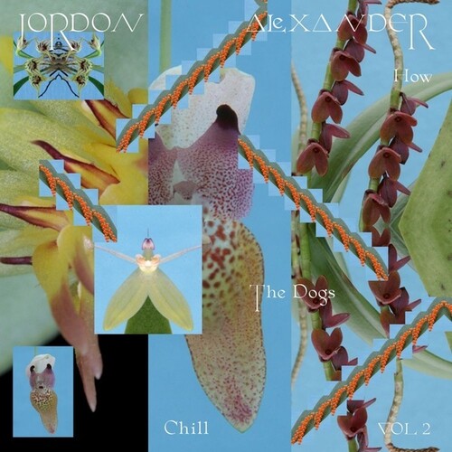 Jordon Alexander - How The Dogs Chill, Vol. 2