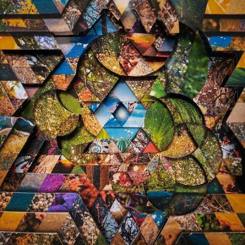 Miguel Atwood-Ferguson - Les Jardins Mystiques 1