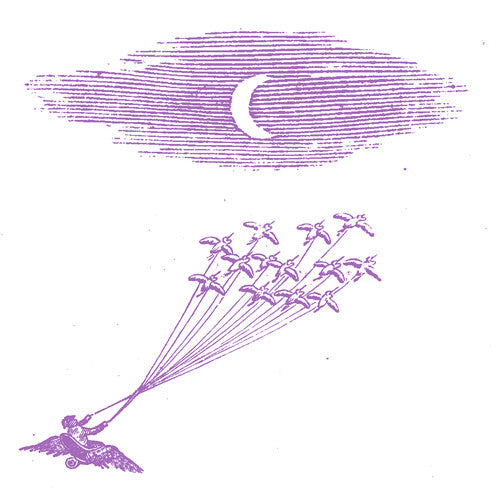 Feeling Figures - Migration Magic