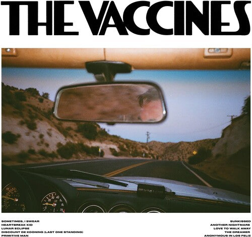 Vaccines - Pick-up Full Of Pink Carnations