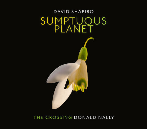 Shapiro/ Crossing - Sumptuous Planet