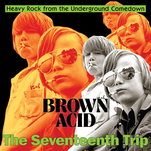 Various Artists - Brown Acid - The Seventeenth Trip (Various Artists)